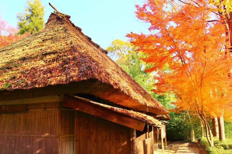 Shikoku-mura｜四国村
