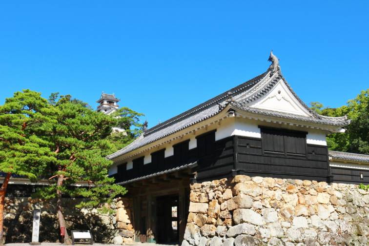 Kochi Castle｜高知城