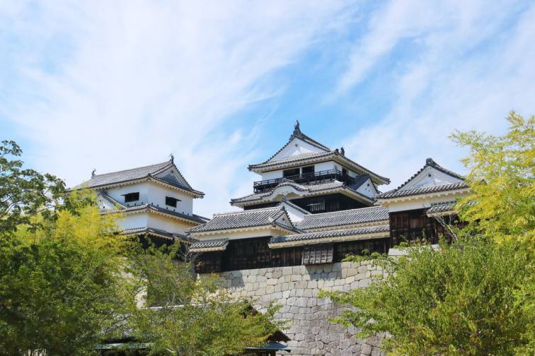 Matsuyama Castle｜松山城