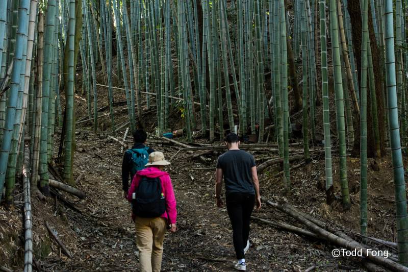 Guided walking Ohenro pilgrimage experience (Dogo Hot Spring - Ishite-ji Temple)