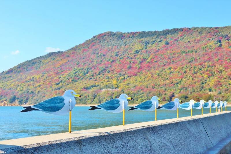 四国ガイド Shikoku-Guide｜四国旅行の総合情報サイト