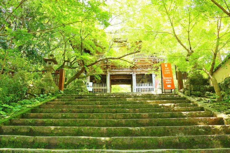 No.31 - Chikurinji Temple｜竹林寺