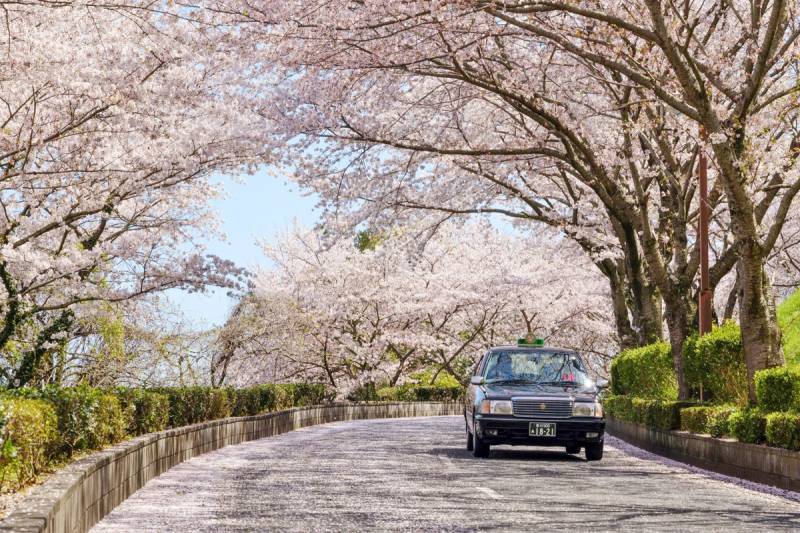 三豊・観音寺 / タクシー貸切観光プラン - 6時間