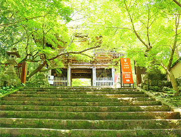 Kochi Prefecture Temple 31 Chikurinji